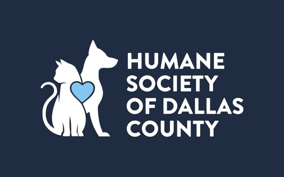 Unveiling a Fresh Start: Humane Society of Dallas County’s Exciting Brand Refresh and Website Launch!